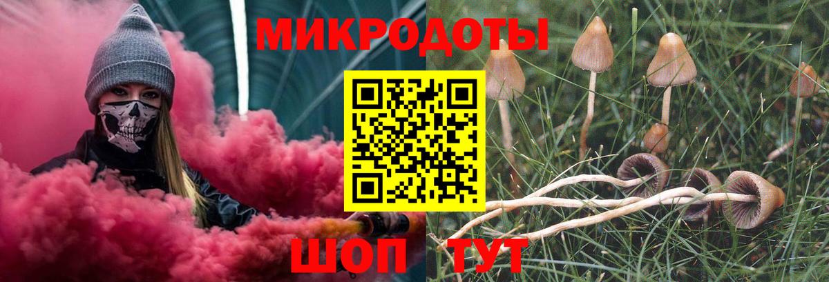 Галлюциногенные грибы прущие грибы  цены   Тайшет  Вход с VPN 