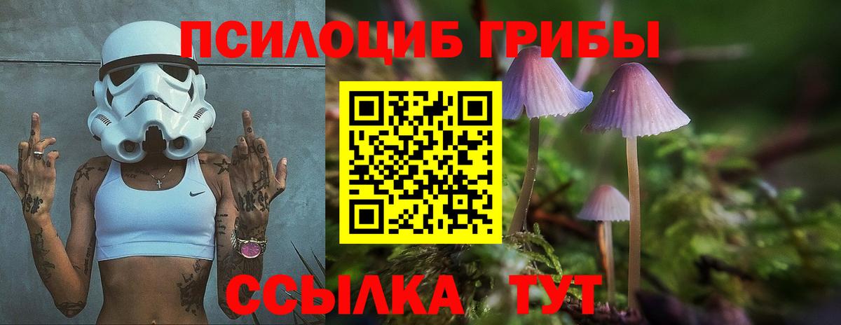 Галлюциногенные грибы мухоморы Тайшет